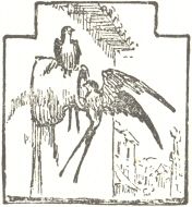 Decorative graphic of two birds