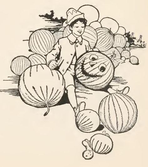 image017