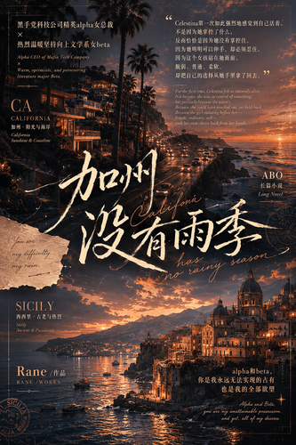 加州没有雨季 Cover