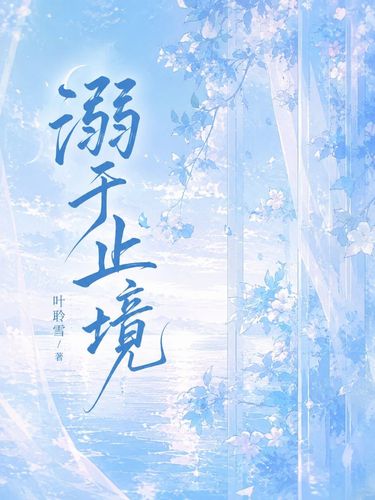 溺于止镜 Cover