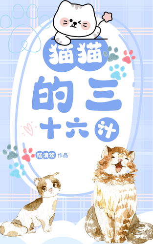 猫猫的三十六计
