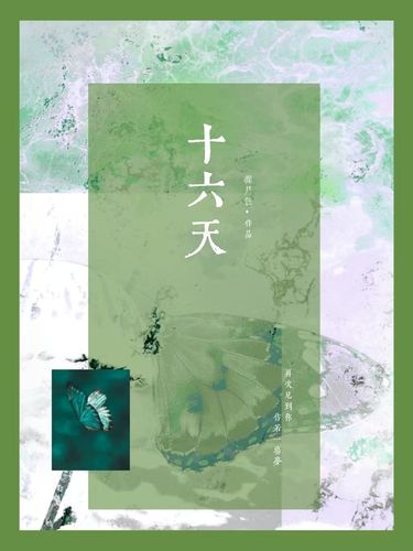 十六天 · 封面图片